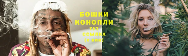 бошки Белокуриха