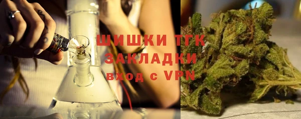 бошки Белокуриха