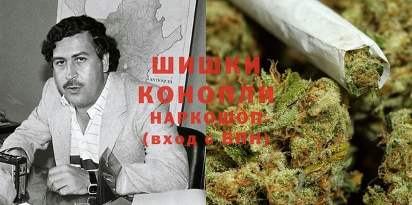 бошки Белокуриха