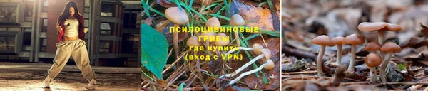 герыч Бабаево