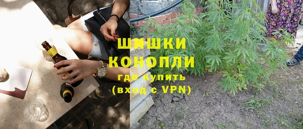бошки Белокуриха