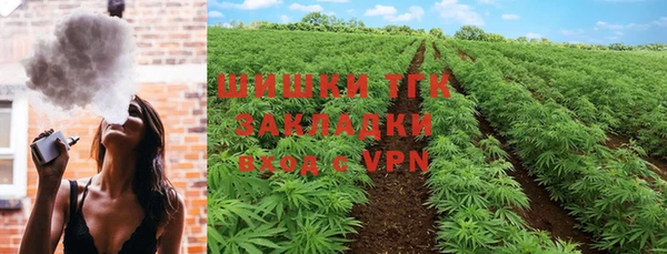 бошки Белокуриха