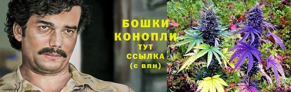 бошки Белокуриха